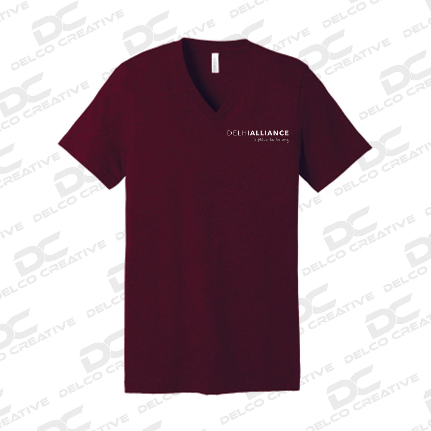 Delhi Alliance V-neck Short Sleeve Tee